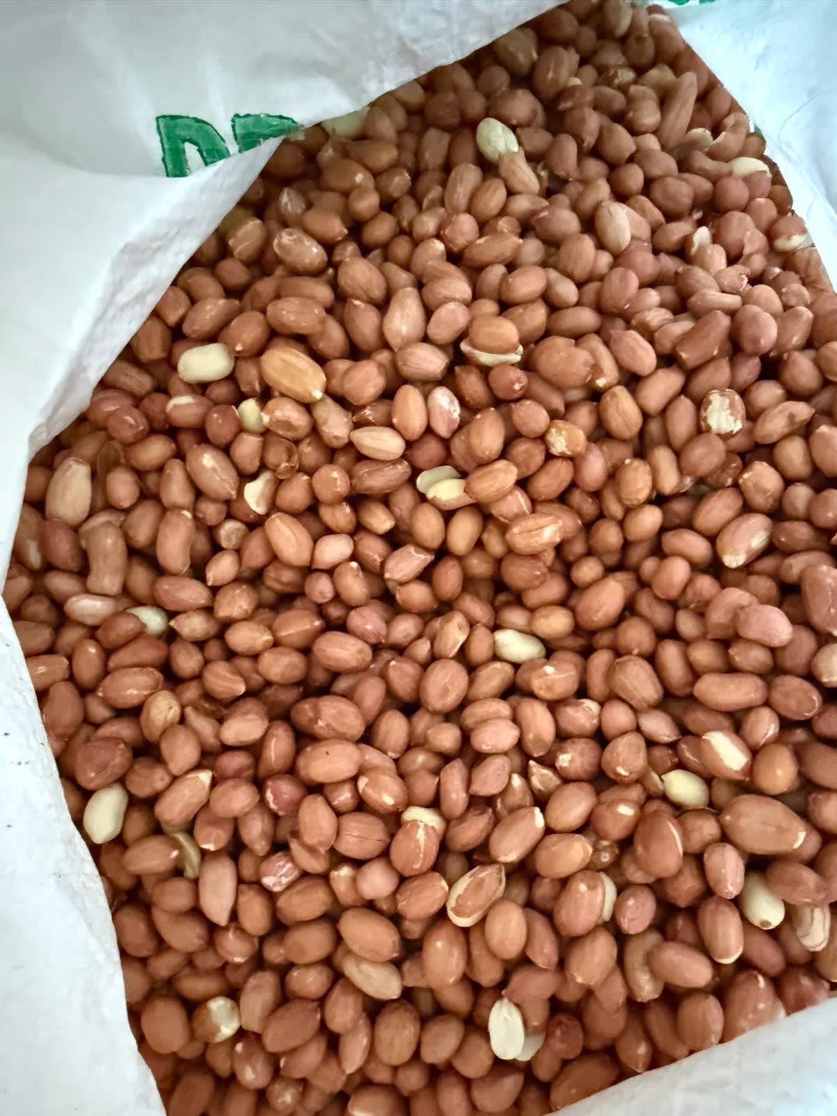 Groundnuts (Peanuts)