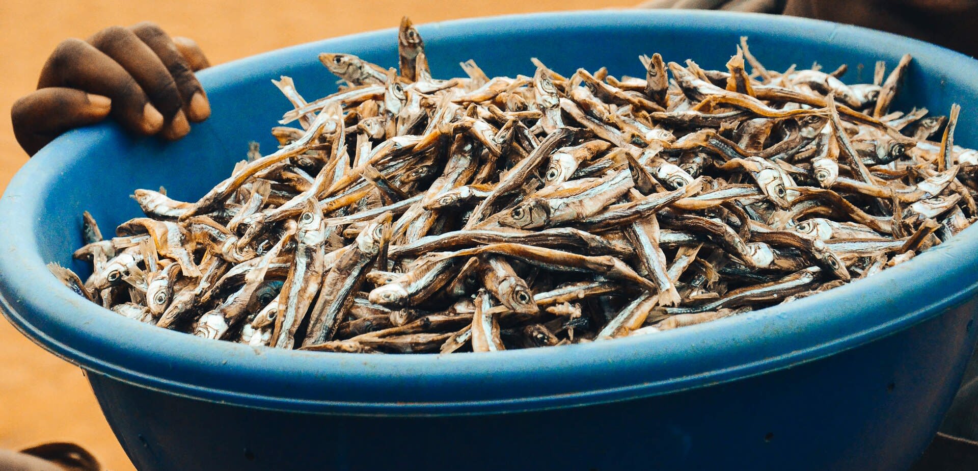 Indagara (Dried Small Fish)