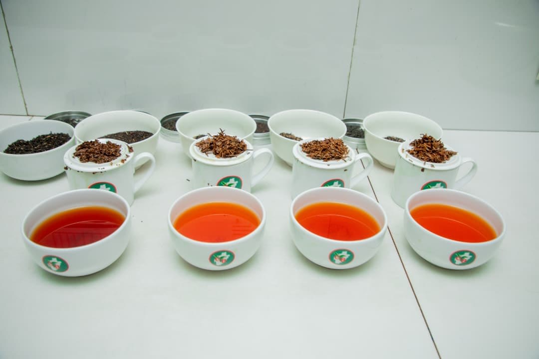 Tasting and grading