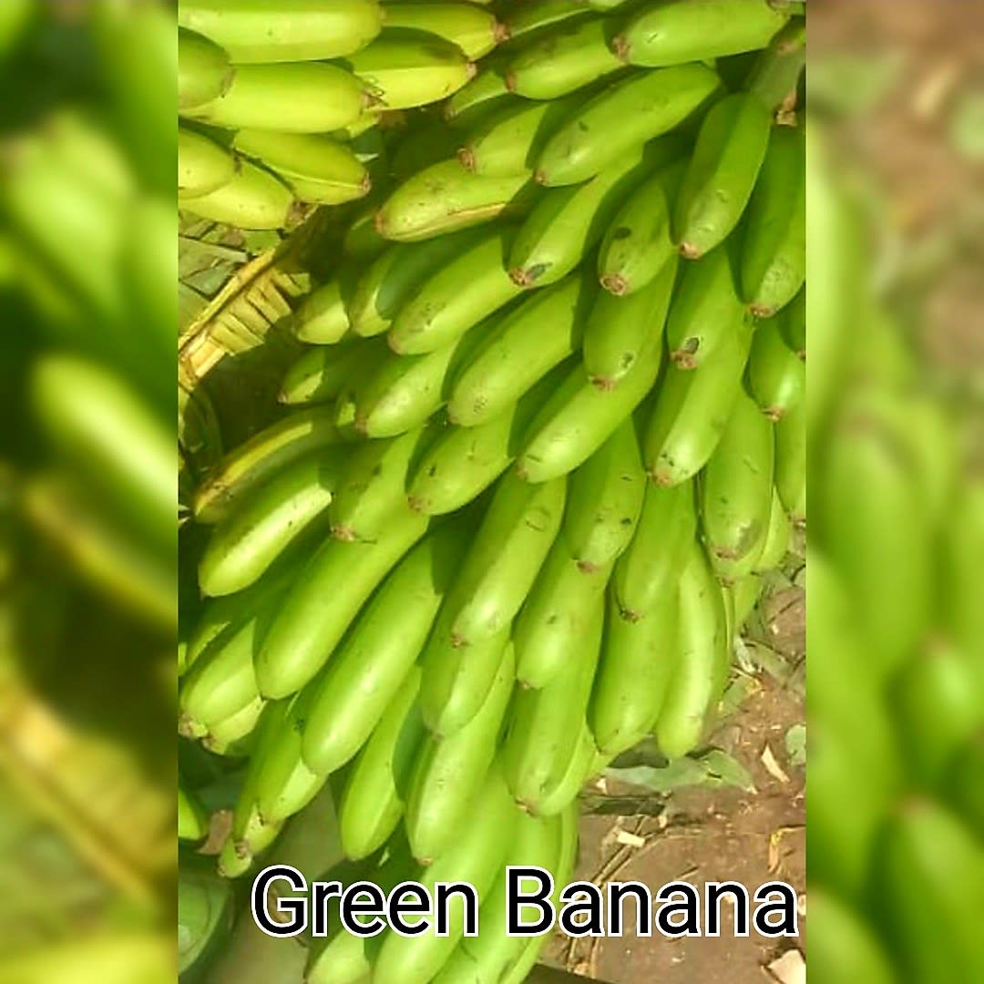 Green bananas