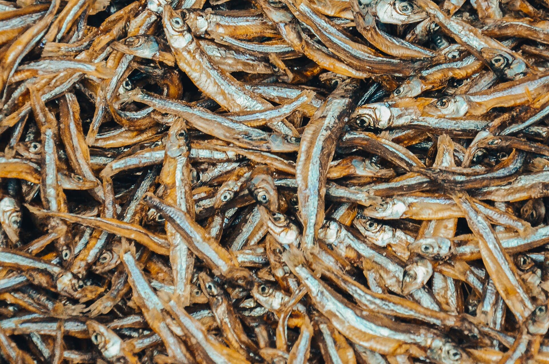 A pile of dagaa